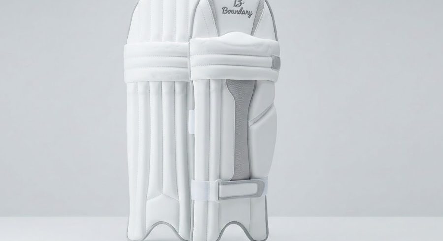 Pro Batting Pads — alternate view